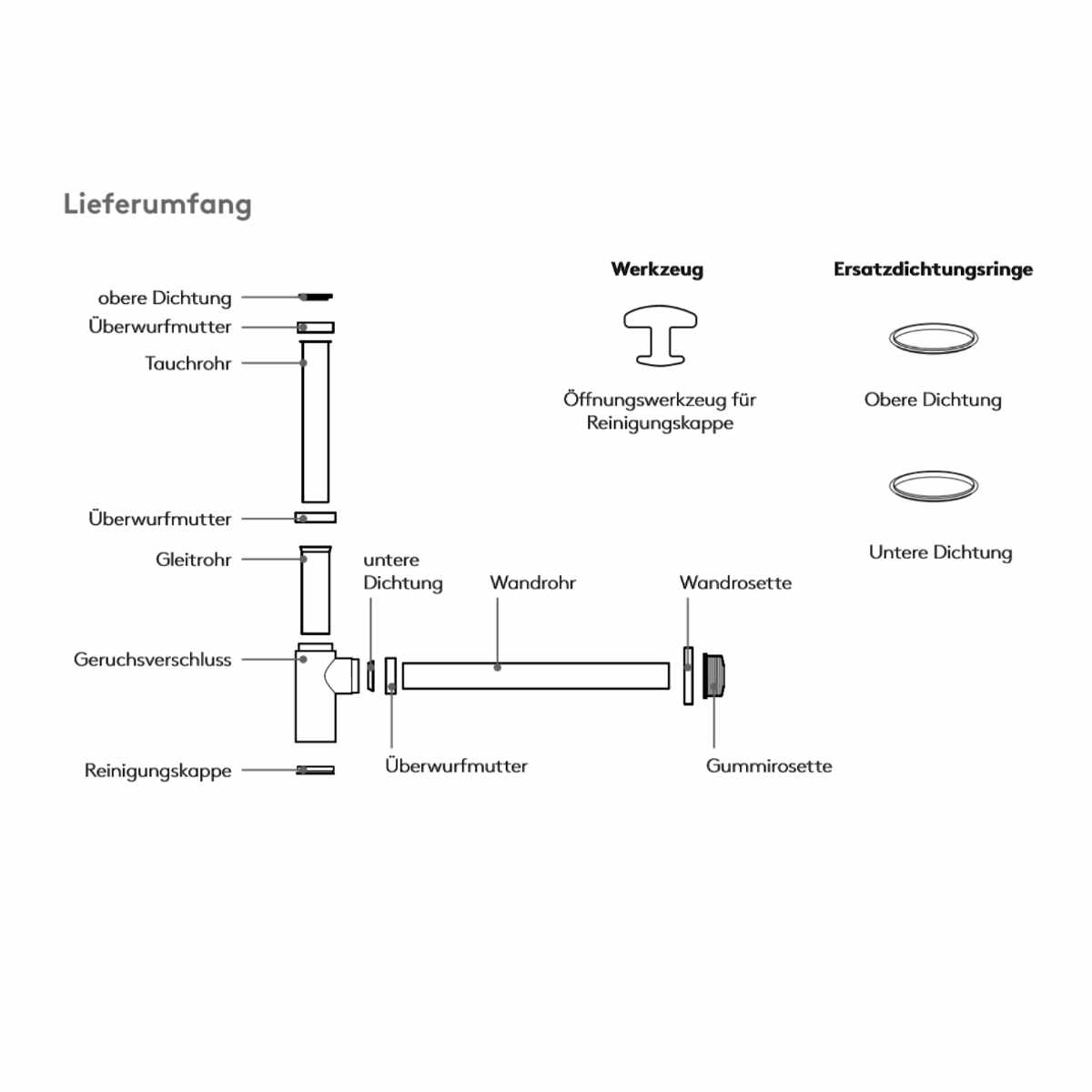 Design-Siphon in matt schwarz